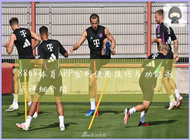 8868体育APP官网使用技巧与功能亮点详细介绍